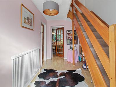 Picture 13